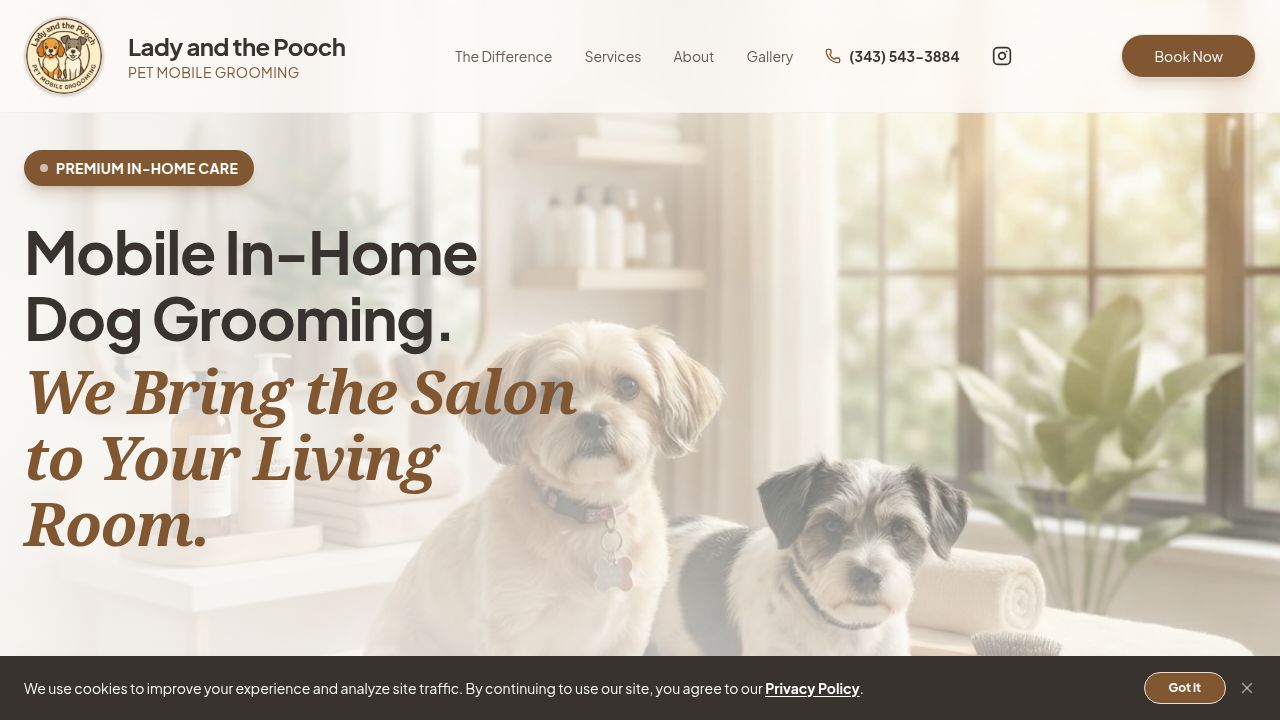 Lady and the Pooch Pet Mobile Grooming dog grooming listing photo